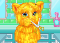 FLOOF - Minha Casa de Bichinhos - Jogos de Cãezinhos e Gatinhos - Jogos de  cuidado animal, quebra-cabeça, memória, culinária e moda para meninas e  meninos!::Appstore for Android