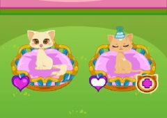 FLOOF - Minha Casa de Bichinhos - Jogos de Cãezinhos e Gatinhos - Jogos de  cuidado animal, quebra-cabeça, memória, culinária e moda para meninas e  meninos!::Appstore for Android